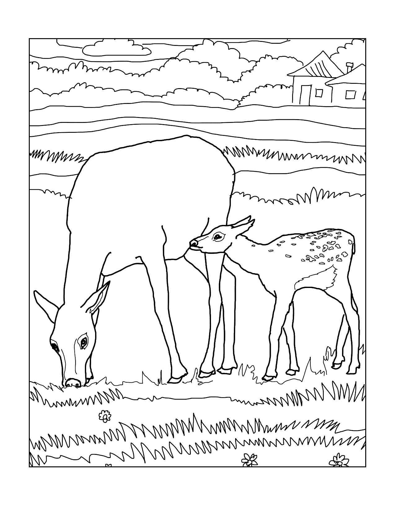 Doe And Fawn Coloring Page