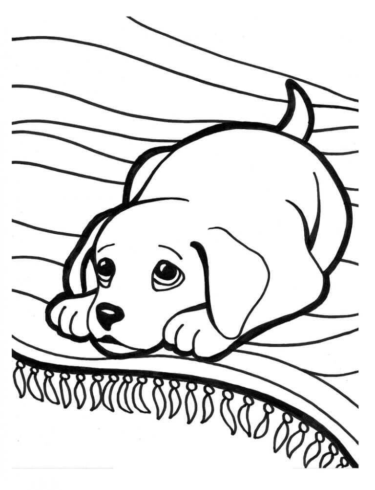 Dog Puppy Animal Coloring Pages