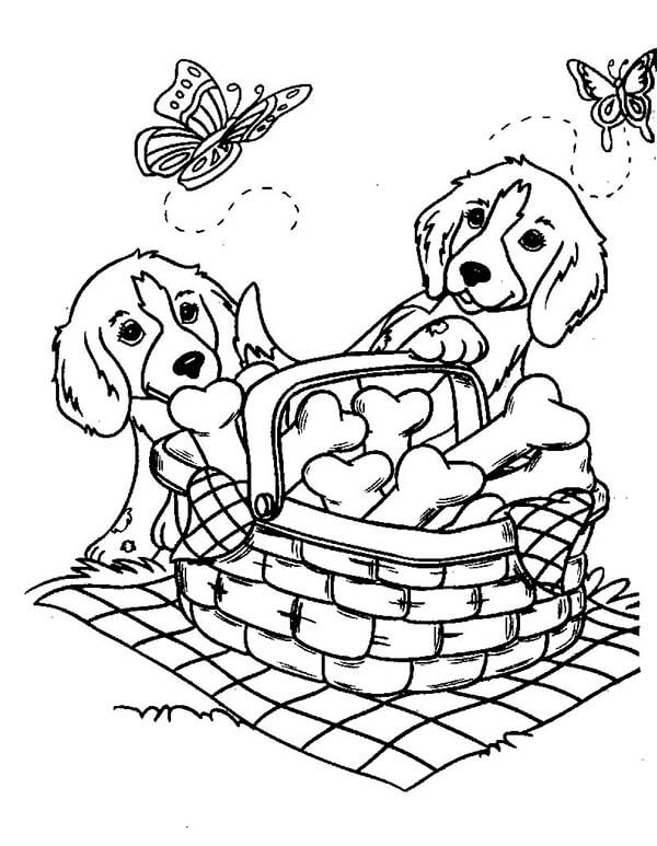 Doggy Picnic Dog Coloring Pages
