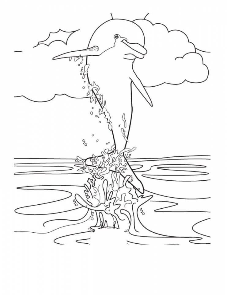 Dolphin Coloring Pages