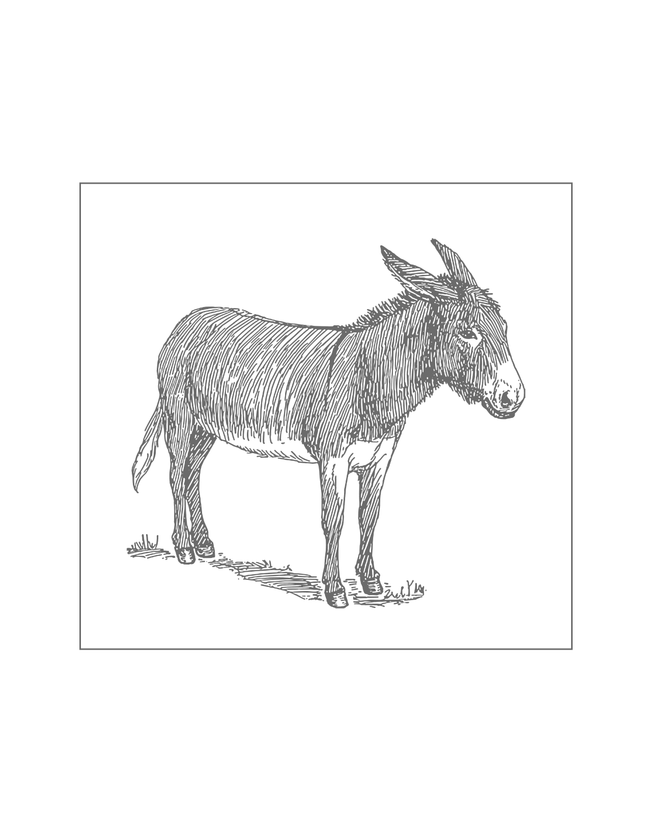 Donkey Traceable Coloring Page