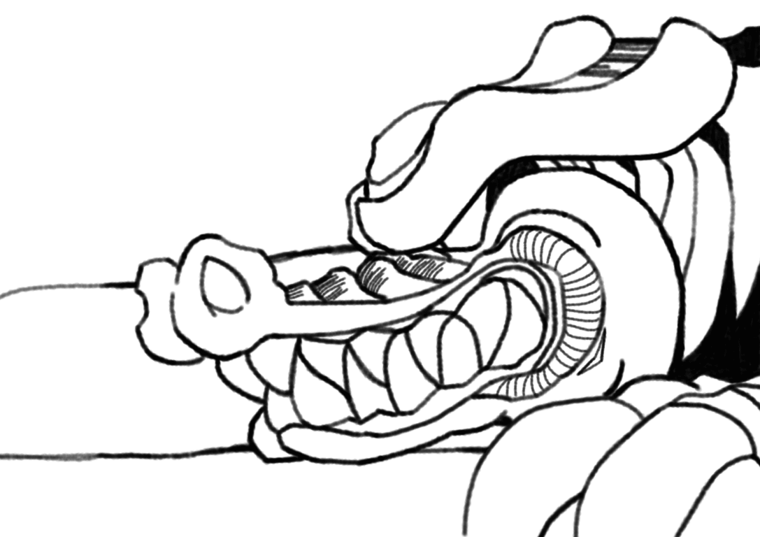Dragon Chomp 3