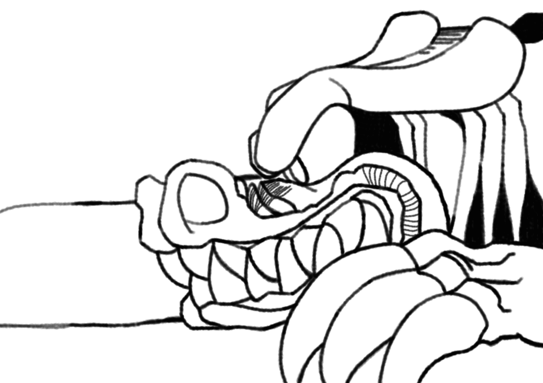 Dragon Chomp 4