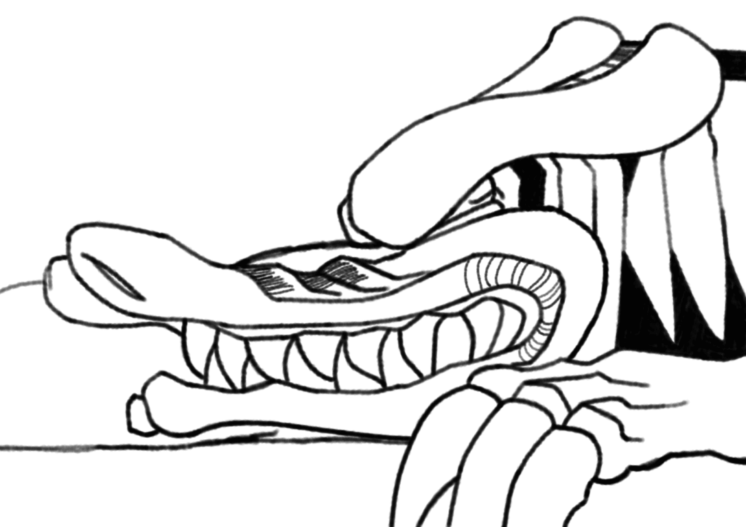 Dragon Chomp 7