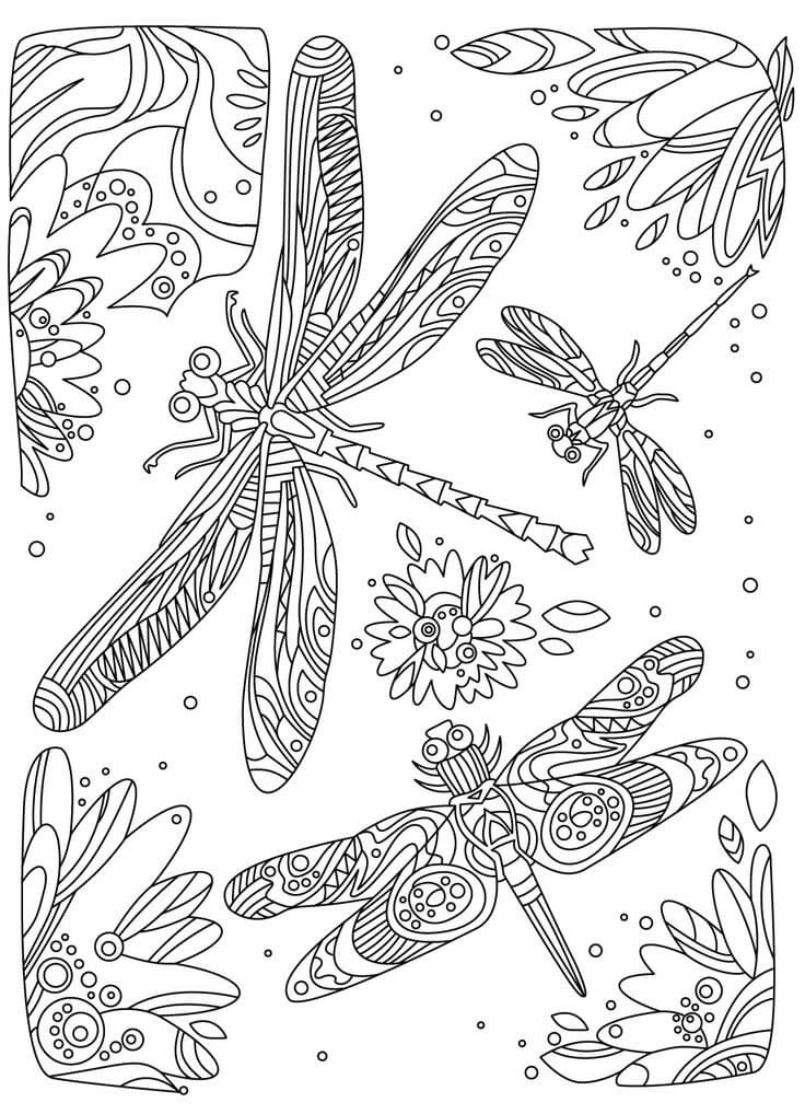 Dragonfly Adult Coloring Pages