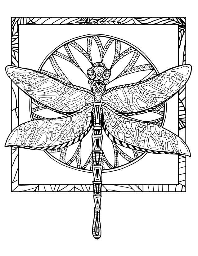Dragonfly Art To Color For Adults