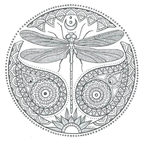 Dragonfly Design Coloring Page