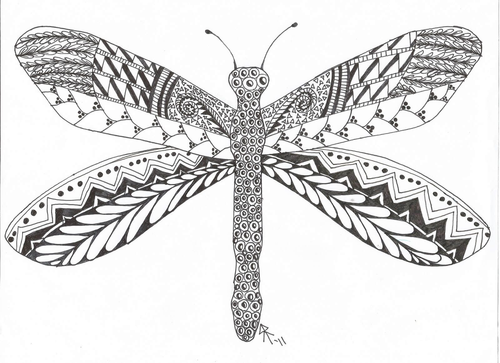 Dragonfly Drawing Coloring Page
