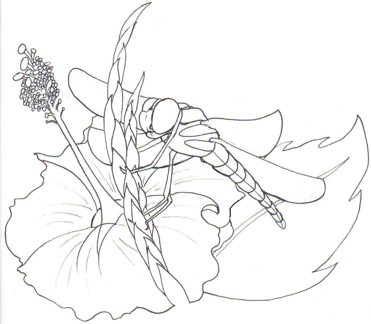 Dragonfly on Flower Coloring Page