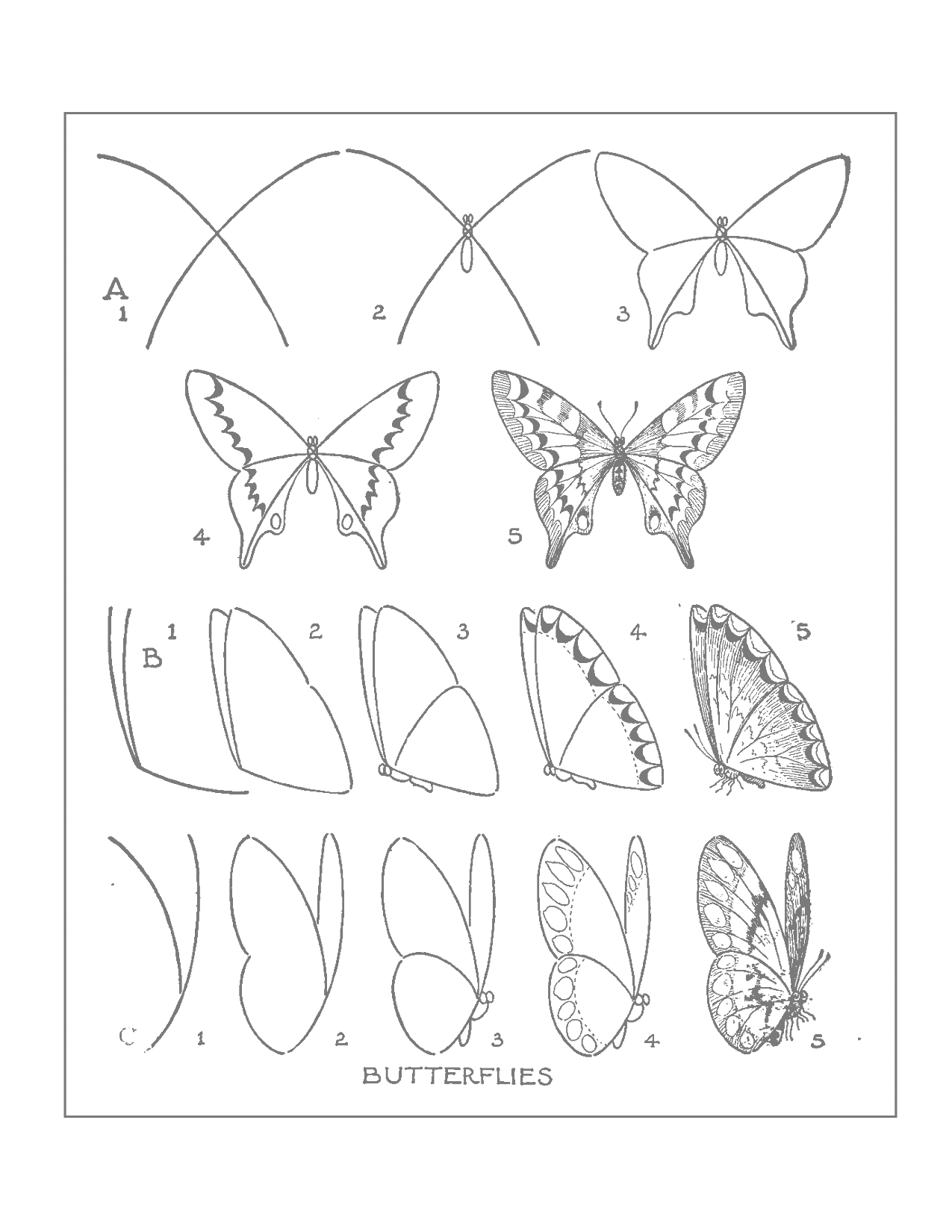 Drawing Butterflies Traceable Sheet