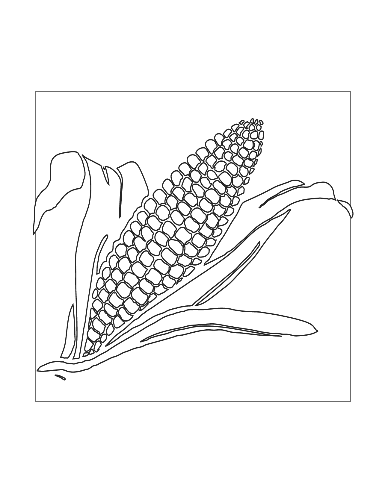 Ear Of Corn Coloring Page