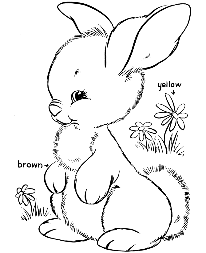 Easter Bunny Coloring Sheet for Preschool