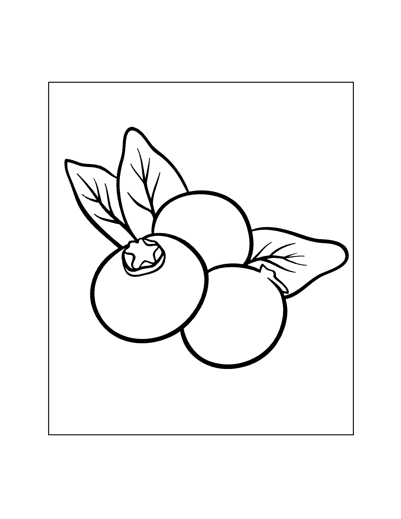 Easy Blueberries Coloring Page