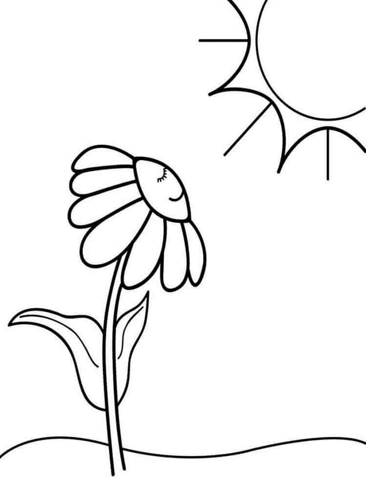 Easy Coloring Pages Coloring Rocks