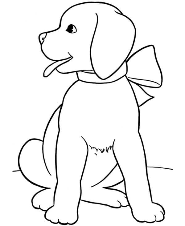 Easy Coloring Pages – Printable Coloring Pages
