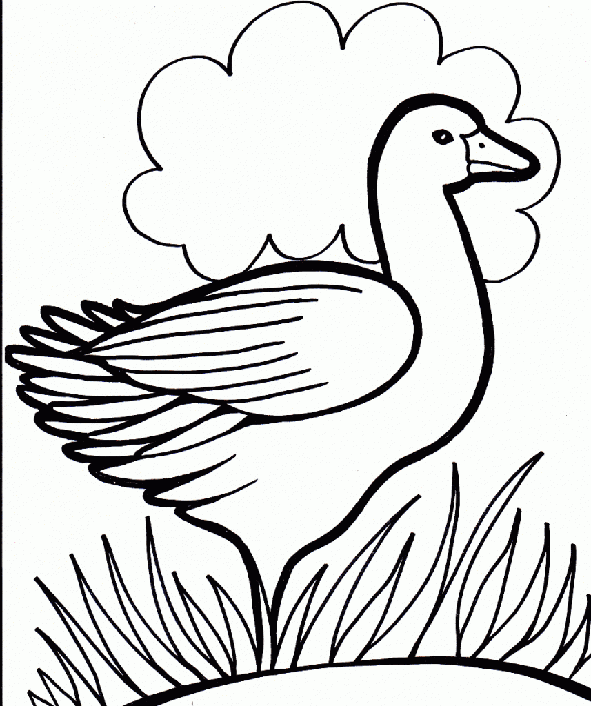 Easy Duck Coloring Page