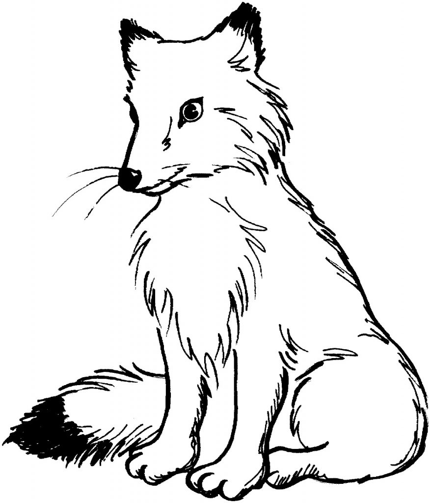 Easy Fox Coloring Pages Printable