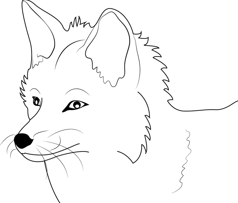 Easy Fox Face Coloring Page