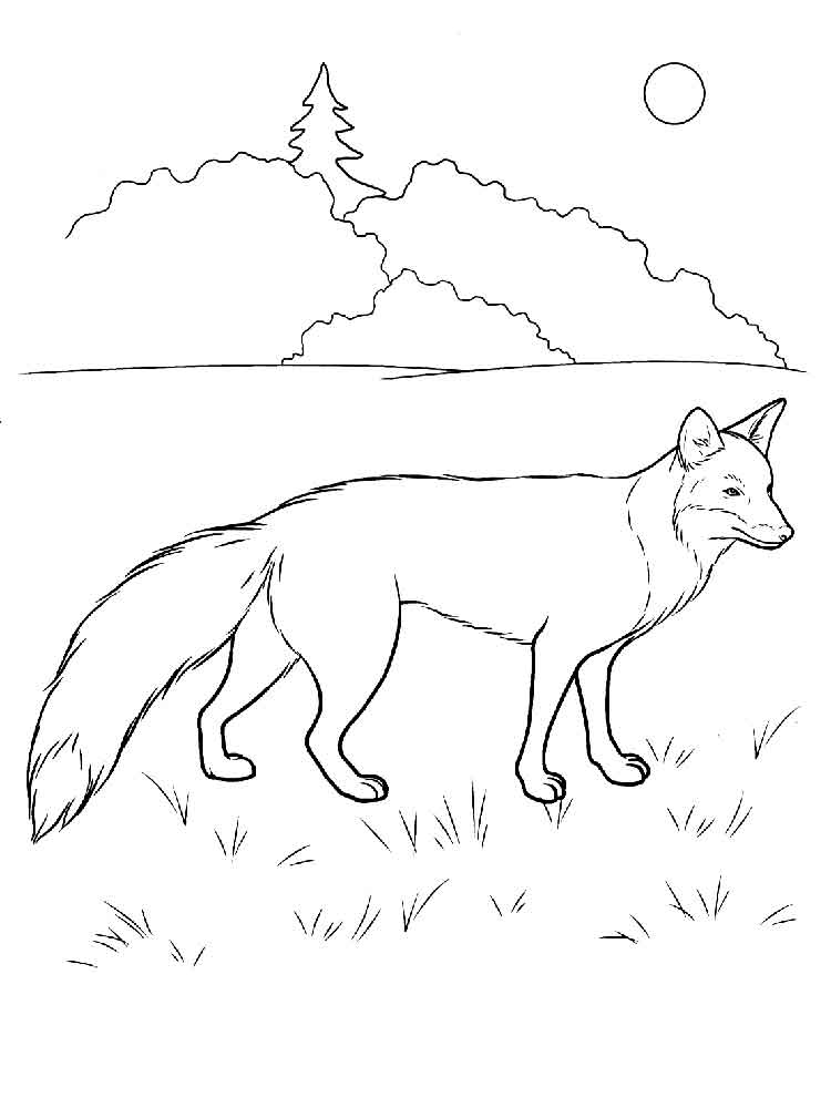 Easy Fox Picture to Color