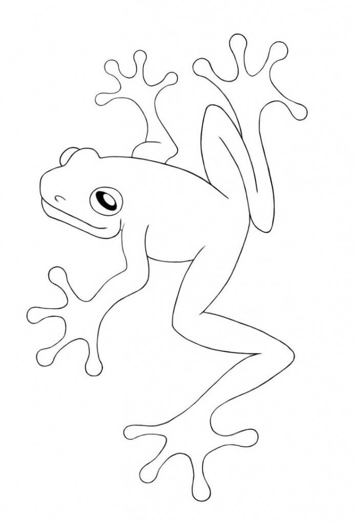 Easy Frog Coloring Page