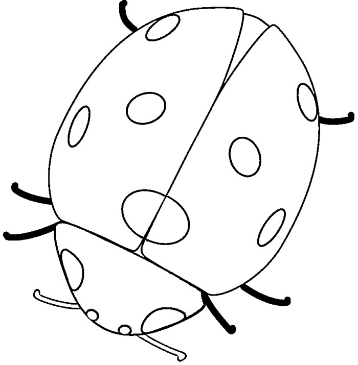 Easy Ladybug Coloring Page