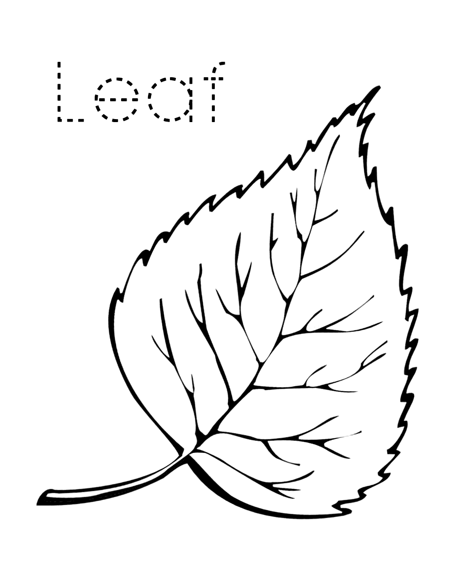 Easy Leaf Coloring Page For Kindergarten