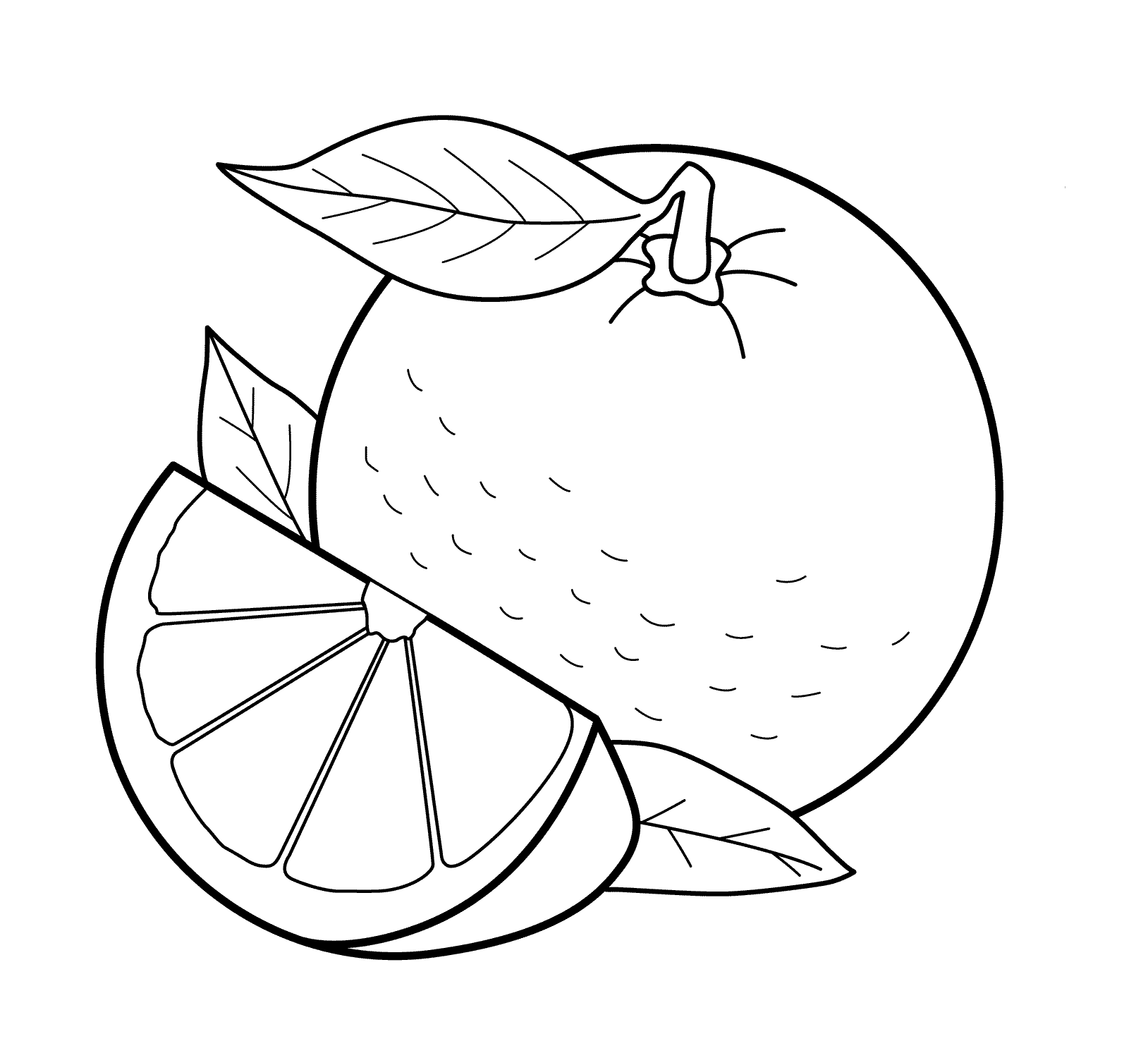 Easy Orange Fruit Coloring Page