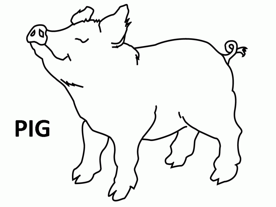 Easy Pig Coloring Pages