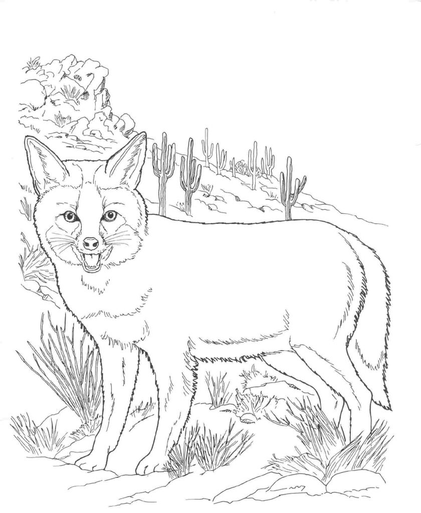Easy Realistic Fox Coloring Page