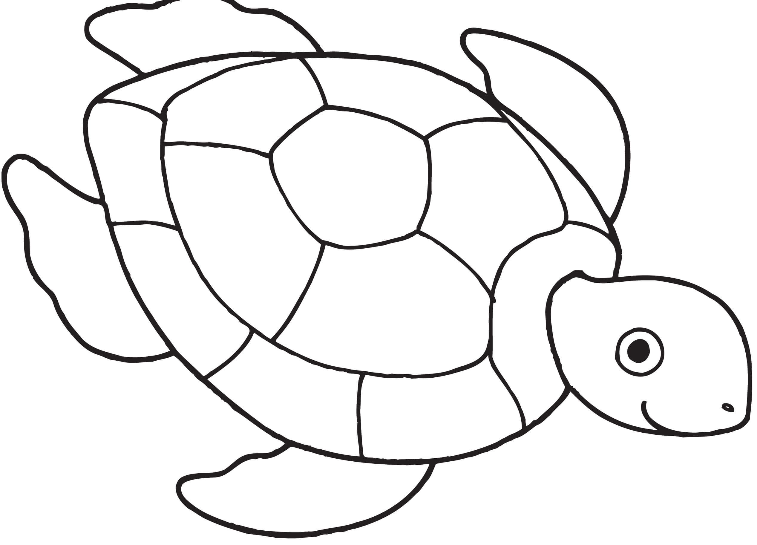 Easy Sea Turtle Coloring Pages