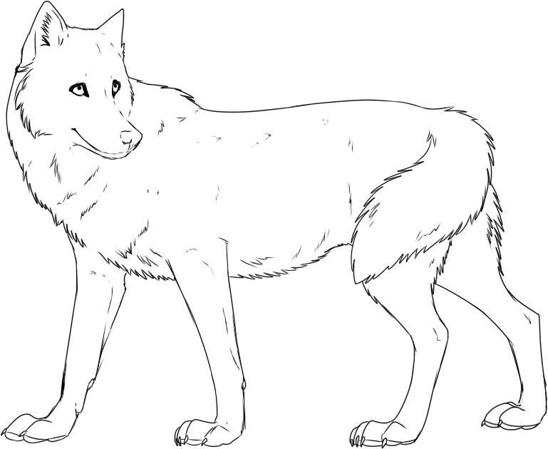 Easy Wolf Coloring Pages for Preschool