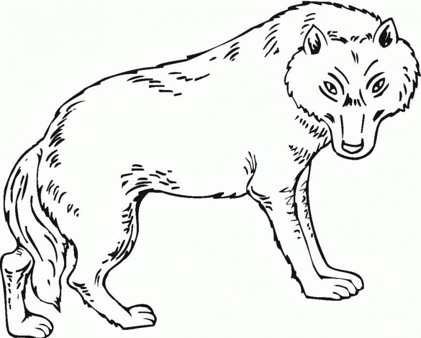 Easy Wolf Coloring Pages