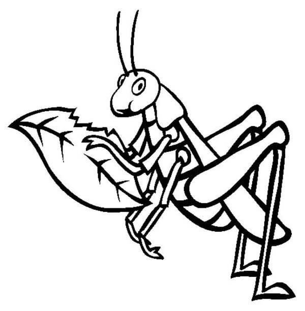 Eating Grasshopper Coloring Page