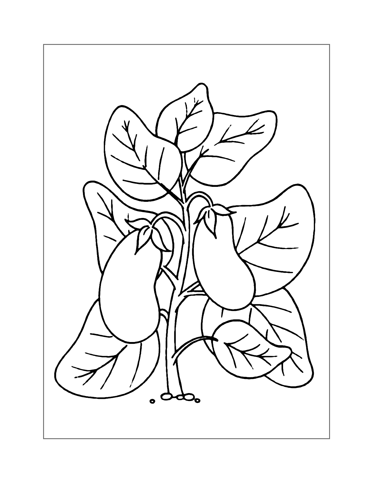 Eggplant Plant Coloring Page