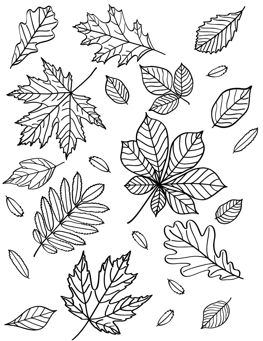 Falling Leaves Page To Color