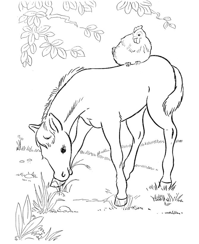 Farm Pony Coloring Pages