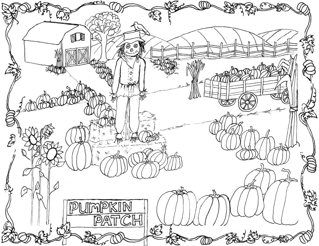 Farm Pumpkin Patch Coloring Page