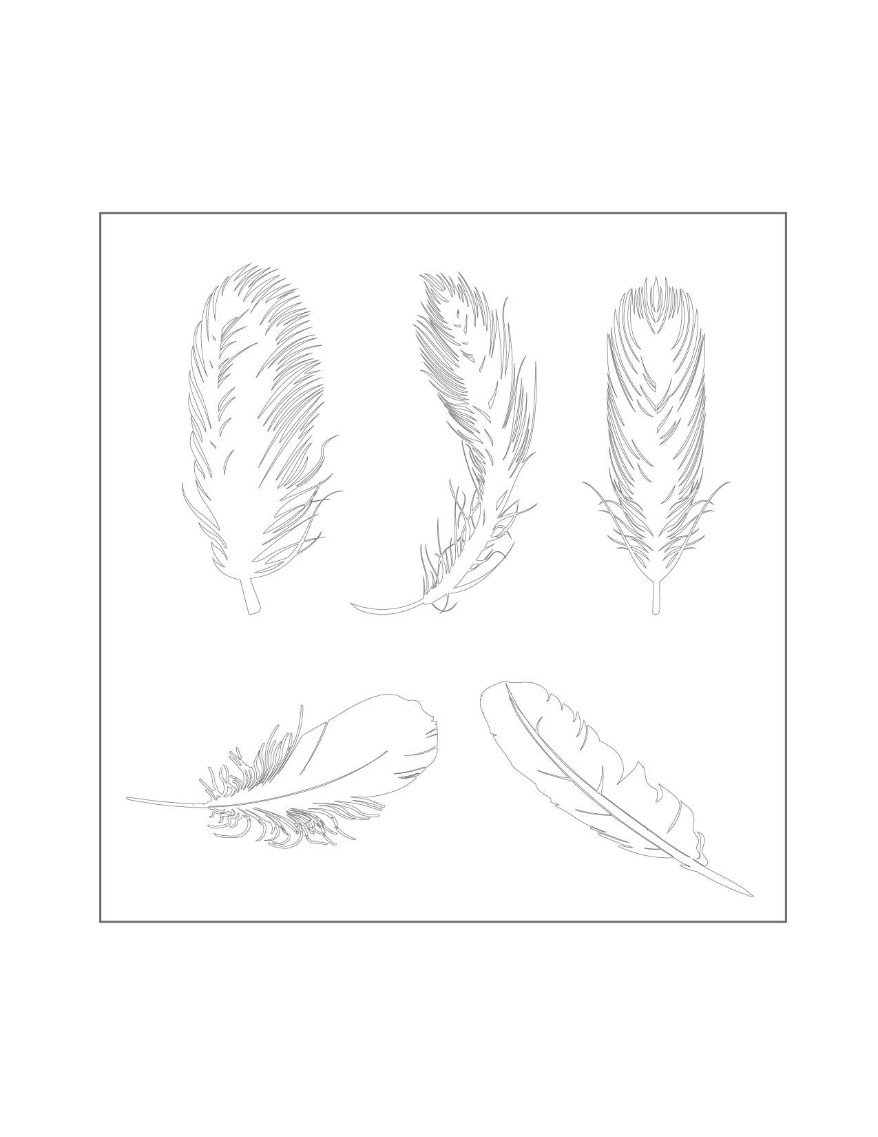 Feather Outlines Coloring Page