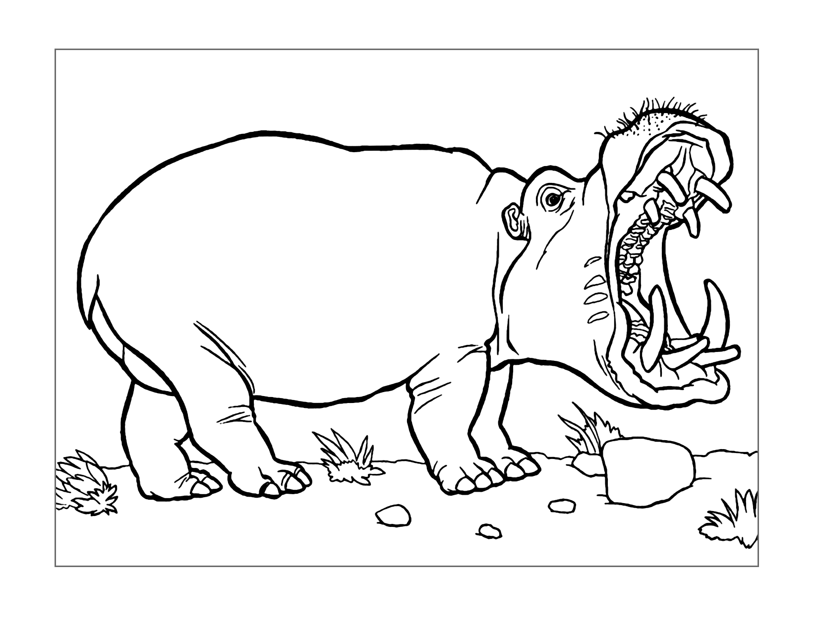 Fierce Hippo Coloring Page