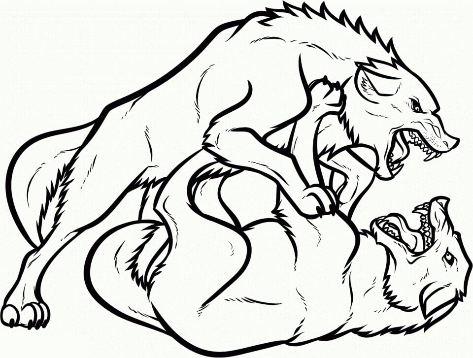 Fighting Wolves Coloring Page