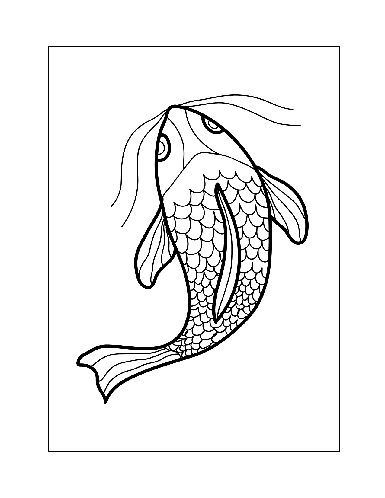 Fish From Above Coloring Page