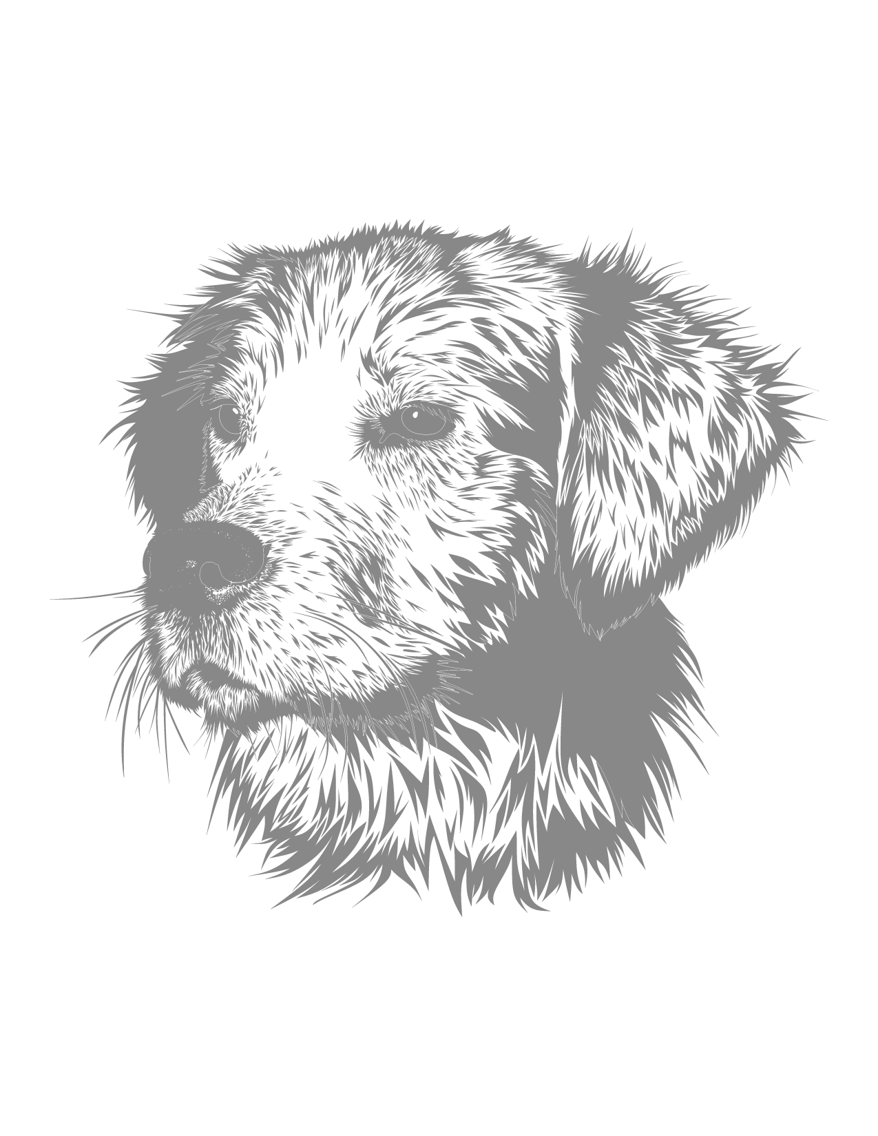 Fluffy Dog Traceable Drawing Sheet