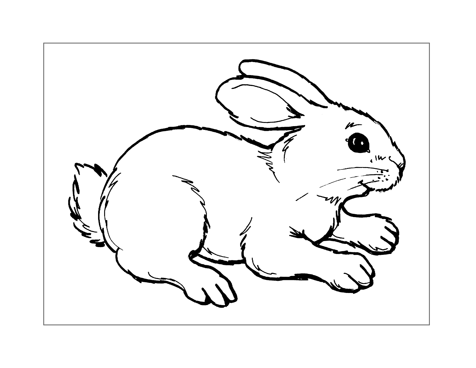 Fluffy Rabbit Coloring Page
