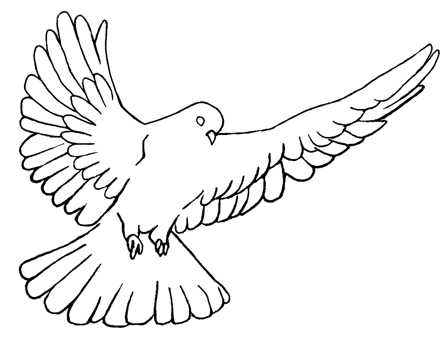 Flying Dove Coloring Page