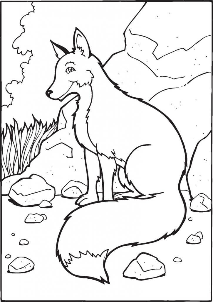 Fox Animal Coloring Pages