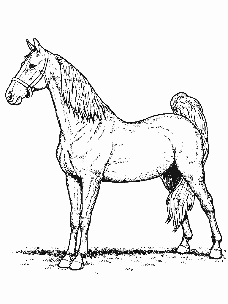 Free Printable Horse Coloring Page