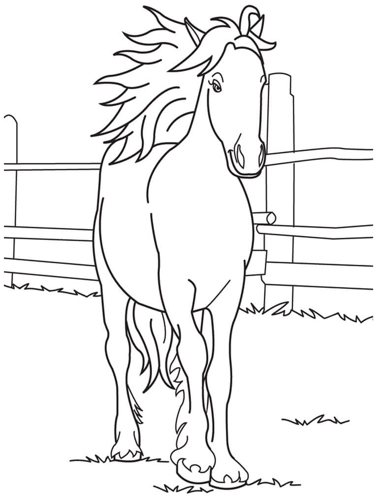 Free Printable Pony Coloring Pages