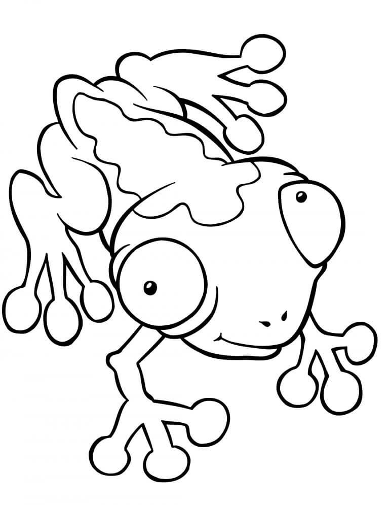 Frog - tree frog Animal Coloring Pages