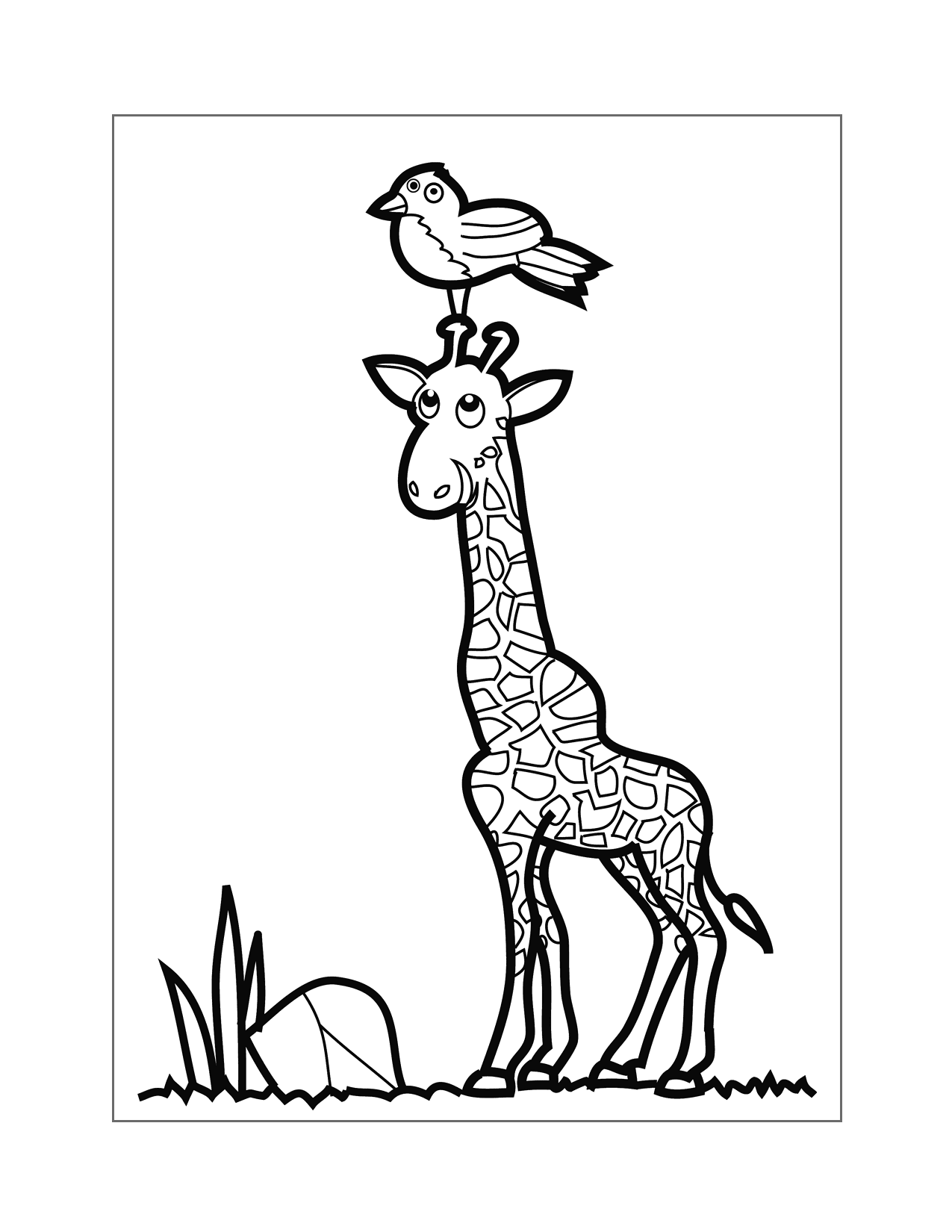 Funny Giraffe With Bird On Its Head Coloring Page