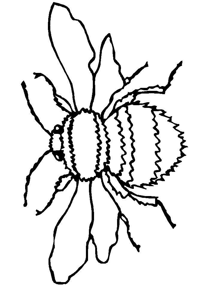 Fuzzy Bee Coloring Page